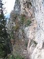 Neron 048